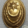 Azerbaijan Army cap badge