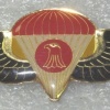 Iraq paratroopers beret badge