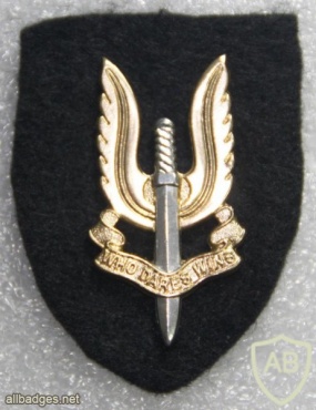 Australia Special Air Service Regiment beret badge img20115