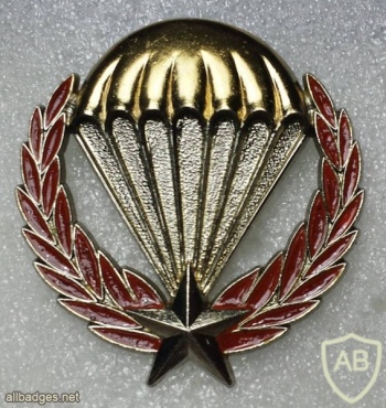Djibouti paratroopers beret badge, type 2 img20111