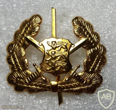 Estonia Army cap badge img20254