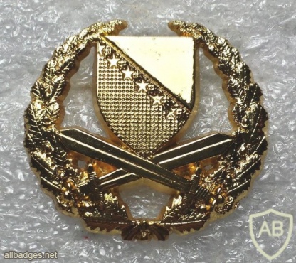 Bosnia and Herzegovina Army cap badge img20249