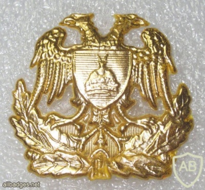 Albanian Land Force cap badge img20211