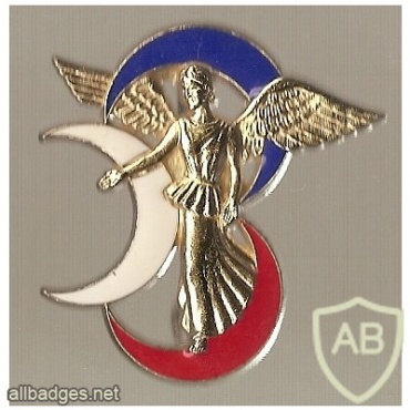 FRANCE 3rd Armoured Division pocket badge img20312
