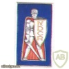 FRANCE 4th Armoured Division pocket badge