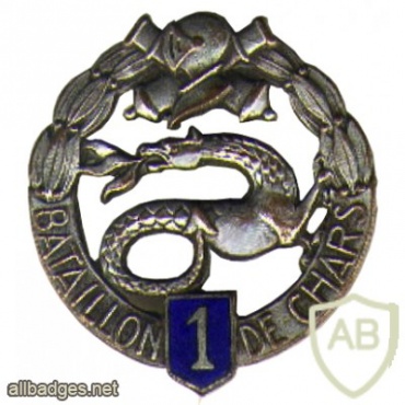 FRANCE 501st Tank Regiment, 1st Battalion pocket badge img20281
