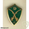 FRANCE 9th Armour Regiment pocket badge