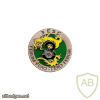 FRANCE 1st Armour Regiment, 3rd Squadron pocket badge