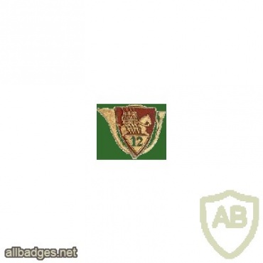 FRANCE 12 Armour Regiment pocket badge, type 1 img20353