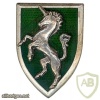 FRANCE 5th Armour Regiment pocket badge