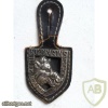 FRANCE 30th Dragoon Regiment pocket badge