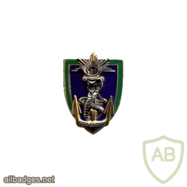 FRANCE 1st Armour Regiment, 1st Squadron pocket badge img20337