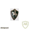 FRANCE 8th Armour Regiment pocket badge img20348