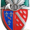 FRANCE 1st Armour Regiment pocket badge img20335