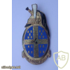 FRANCE 4th Dragoon Regiment pocket badge