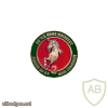 FRANCE 1st Armour Regiment, 2nd Squadron pocket badge