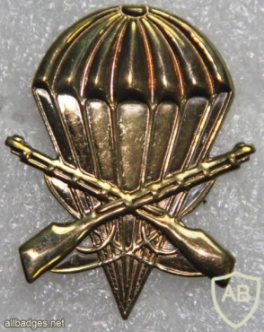 Argentina 4th Parachute Brigade beret badge img20437