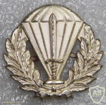 Bolivia Airborne Battalion beret badge img20443