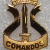 Chile Marine Commando cap badge img20439