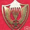 Guatemala Airborne Battalion beret badge