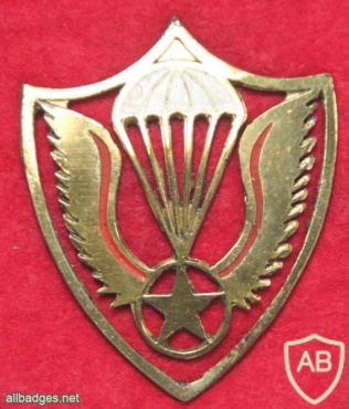 Guatemala Airborne Battalion beret badge img20470