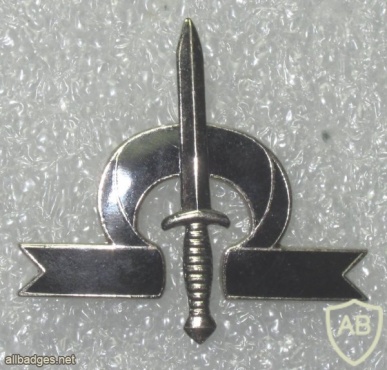 Georgia Ministry of Interior Special Forces Unit "Omega" beret badge img20479
