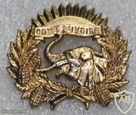 Ivory Coast Army cap badge img20530