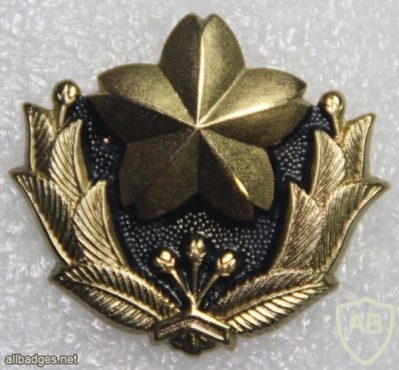 Japan Ground Self Defence Forces cap badge img20491