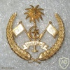 Maldive Islands National Defence Force cap badge