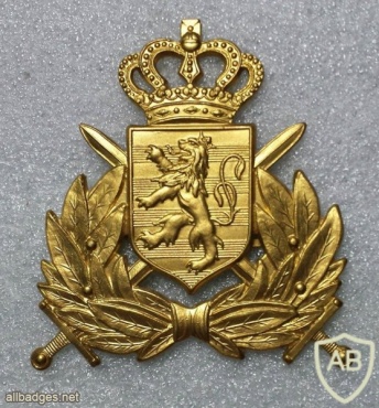 Cap Badge of the Luxembourg Army img20484