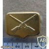 Uruguay Infantry Officers collar badge img20606