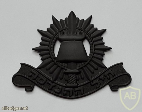 Engineering corps hat badge, after 1991 img20506