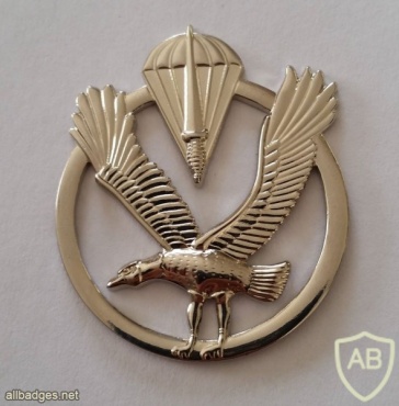 Belgium special forces ESR cap badge img20495