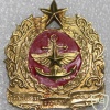 Mynmar Defense Force cap badge