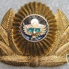 Kyrgyzstan Army cap badge