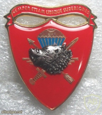 Macedonia Army Special Forces Battalion "Wolves" beret badge img20640