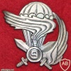 Italy 9th Parachute Assault Regiment (Col Moschin) beret badge