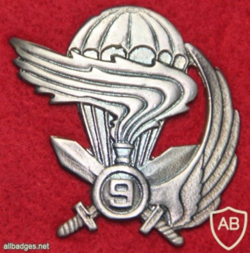 Italy 9th Parachute Assault Regiment (Col Moschin) beret badge img20641