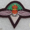 Lesotho Army Special Forces beret badge