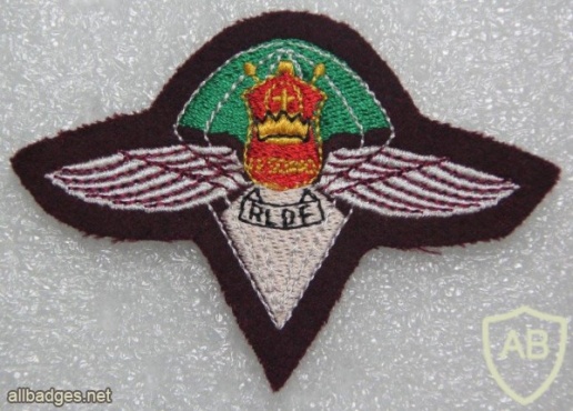 Lesotho Army Special Forces beret badge img20657