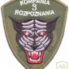 POLAND 3rd Reconnaissance Company, 3rd Mechanized Brigade patch, color
