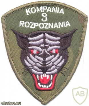 POLAND 3rd Reconnaissance Company, 3rd Mechanized Brigade patch, color img20707