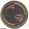 POLAND 1st Chevau-Legers Regiment, 25th Air Cavalry Div. parachutist patch, subdued