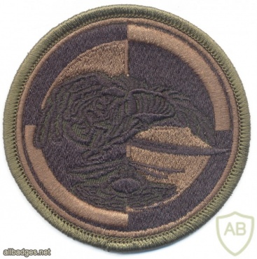 POLAND 1st Chevau-Legers Regiment, 25th Air Cavalry Div. parachutist patch, subdued img20692