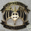 Mexico High Command Special Forces Airmobile Group cap badge, type 2 img20710