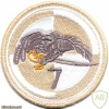 POLAND 7th Uhlan Squadron, 25th Air Cavalry Brigade parachutist patch, desert img20690