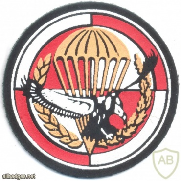 POLAND Reconnaissance Company, 7th Lublin Ulan Regiment, 25th Air Cavalry Brigade patch, thermal img20703