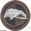 POLAND 7th Uhlan Regiment, 25th Air Cavalry Division parachutist patch, subdued img20689