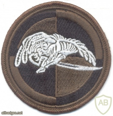 POLAND 7th Uhlan Regiment, 25th Air Cavalry Division parachutist patch, subdued img20689