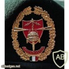 Mexican Special Forces Corps beret badge img20713
